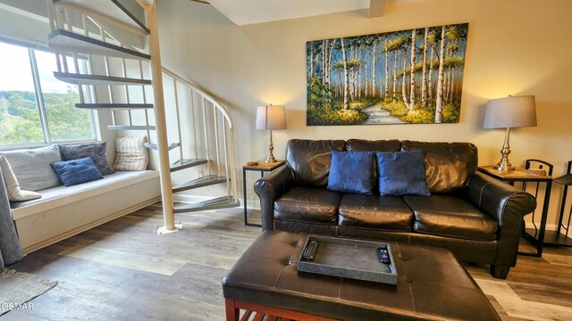 living room featuring hardwood / wood-style flooring