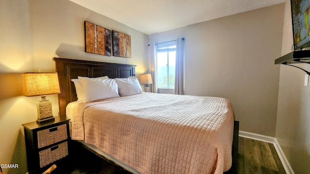 bedroom featuring dark wood-type flooring