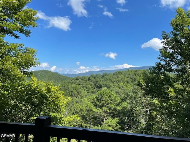 4172 Chamberlain Ln, Sevierville, TN 37862 - photo 10