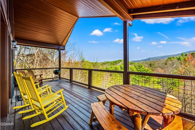 4172 Chamberlain Ln, Sevierville, TN 37862 - photo 5