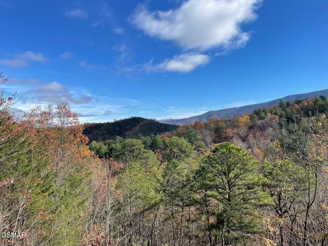 4172 Chamberlain Ln, Sevierville, TN 37862 - photo 11