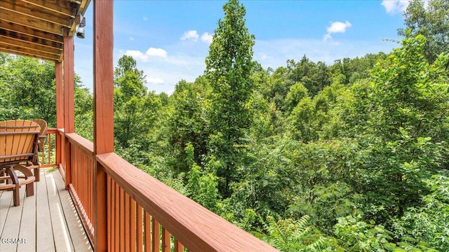 1727 Walker Trl, Sevierville, TN 37876 - photo 32