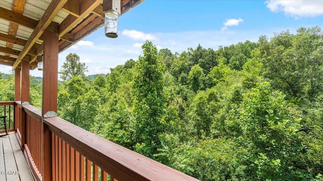 1727 Walker Trl, Sevierville, TN 37876 - photo 11
