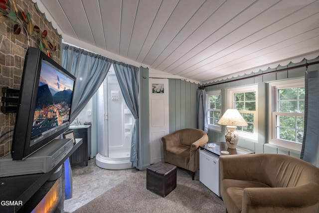 204 Hill St, Gatlinburg, TN 37738 - living area with wood ceiling