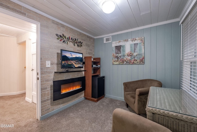 204 Hill St, Gatlinburg, TN 37738 - carpeted living area with crown molding and a fireplace