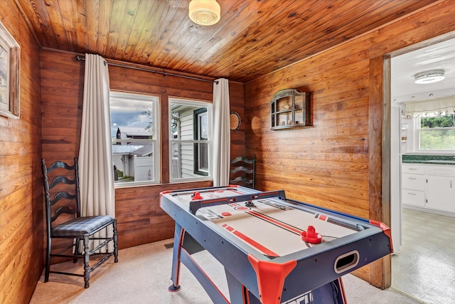 39693975 Wears Valley Rd, Sevierville, TN 37862 - rec room with wooden walls, wood ceiling, light flooring, and a sink