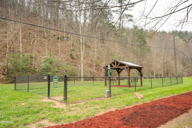 view of community featuring a yard