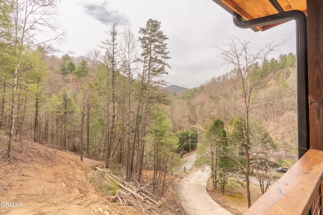 2382 Headrick Lead, Sevierville, TN 37862 - photo 33