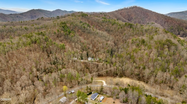 drone / aerial view with a mountain view