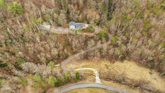 bird's eye view