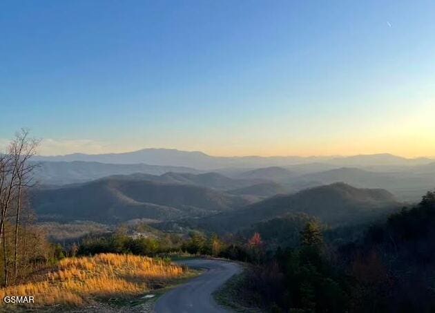 1848 Mountain Ash Way, Sevierville, TN 37876 - photo 4