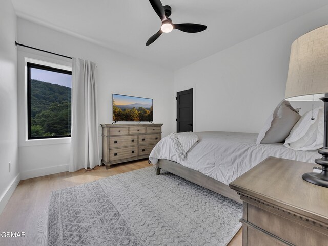 1848 Mountain Ash Way, Sevierville, TN 37876 - photo 41