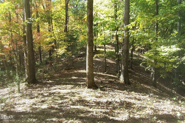 4B-R Jake Thomas Rd, Pigeon Forge, TN 37863 - photo 7