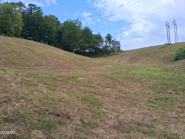 4B-R Jake Thomas Rd, Pigeon Forge, TN 37863 - photo 1
