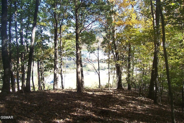 4B-R Jake Thomas Rd, Pigeon Forge, TN 37863 - photo 5