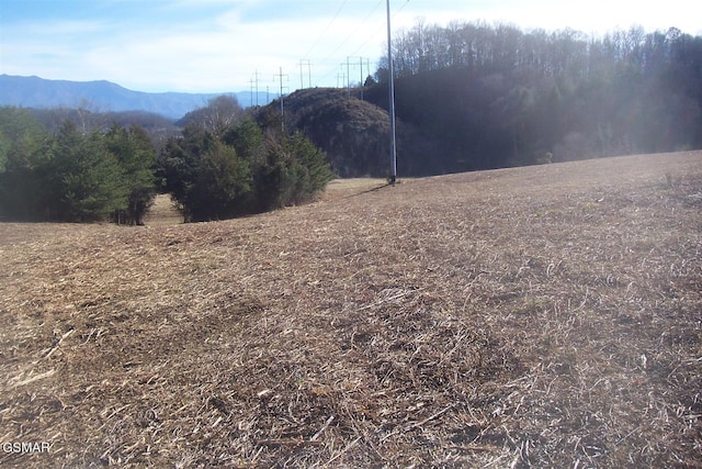 4B-R Jake Thomas Rd, Pigeon Forge, TN 37863 - photo 4