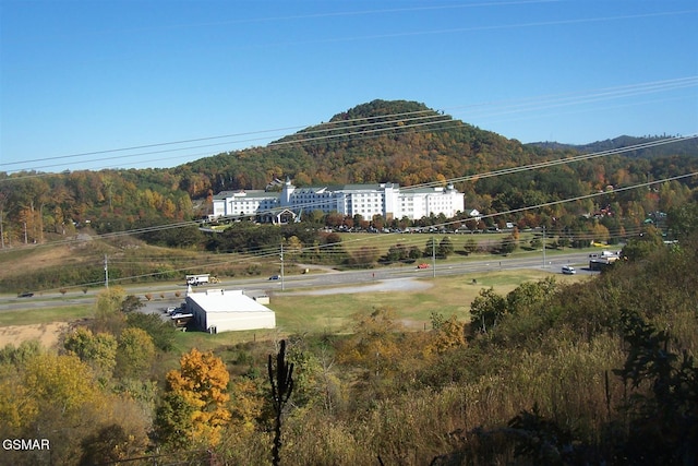 4B-R Jake Thomas Rd, Pigeon Forge, TN 37863 - photo 10