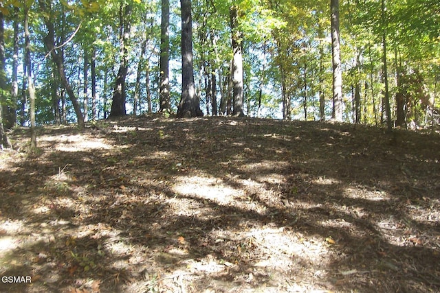 4B-R Jake Thomas Rd, Pigeon Forge, TN 37863 - photo 6