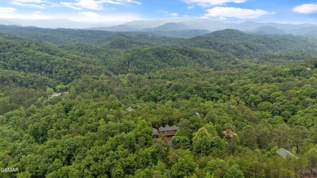 1949 E Mountain View Way, Sevierville, TN 37876 - photo 43