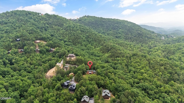 1949 E Mountain View Way, Sevierville, TN 37876 - photo 44