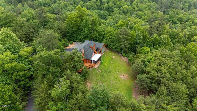 1949 E Mountain View Way, Sevierville, TN 37876 - photo 39