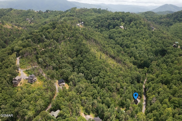 3115 Emerald Springs Loop, Sevierville, TN 37862 - photo 25