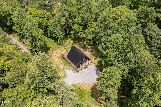 3115 Emerald Springs Loop, Sevierville, TN 37862 - photo 22