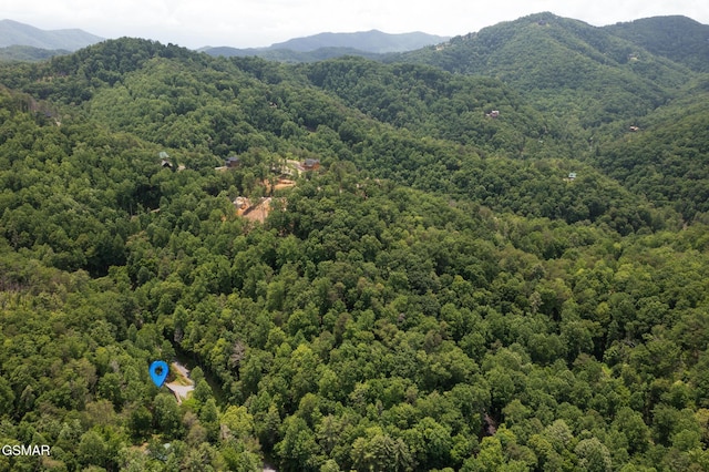 3115 Emerald Springs Loop, Sevierville, TN 37862 - photo 24