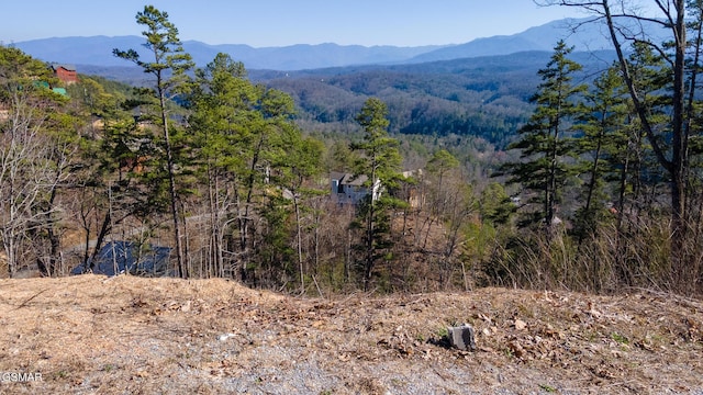 LOT10BG Fox View Rd, Sevierville TN, 37876 land for sale