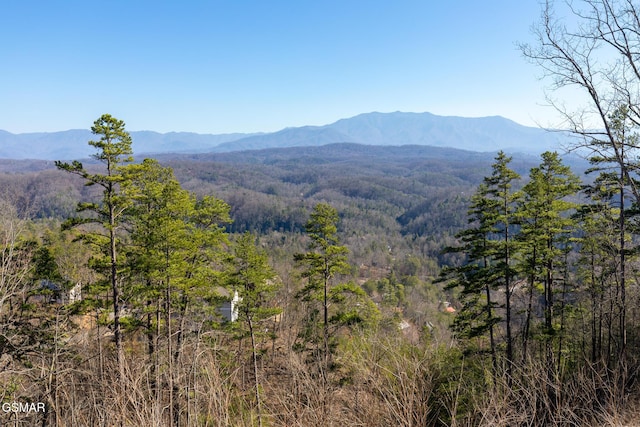 Listing photo 2 for LOT10BG Fox View Rd, Sevierville TN 37876