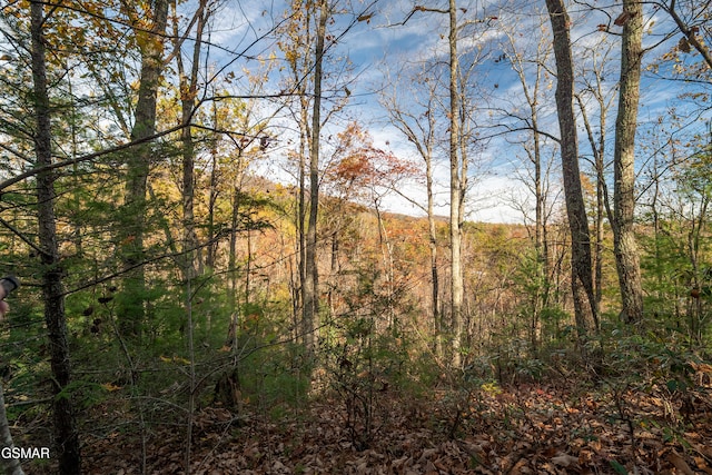 4365 Wilhite Rd, Cosby TN, 37722 land for sale