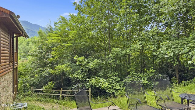 4750 Townsend Dr, Gatlinburg, TN 37738 - photo 37
