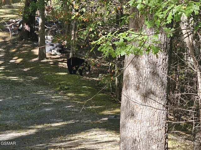LOT9-A Village Cir, Sevierville, TN 37862