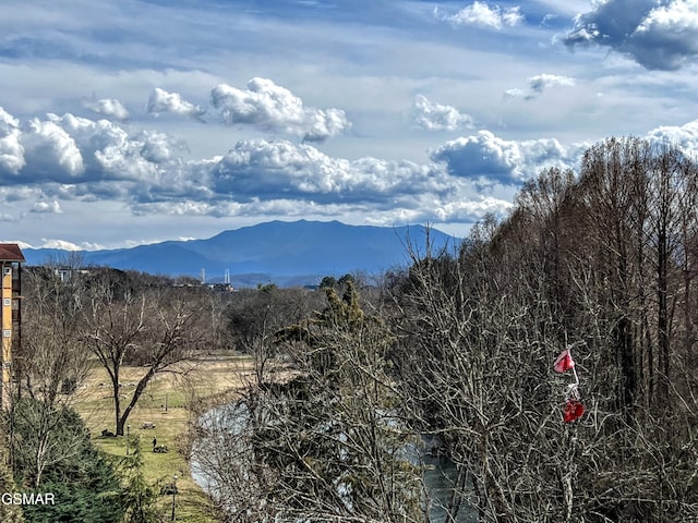 property view of mountains