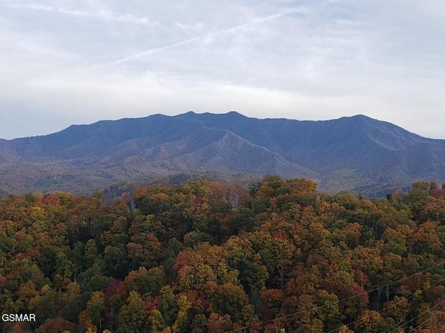 862 Sourwood Dr, Gatlinburg, TN 37738 - photo 32