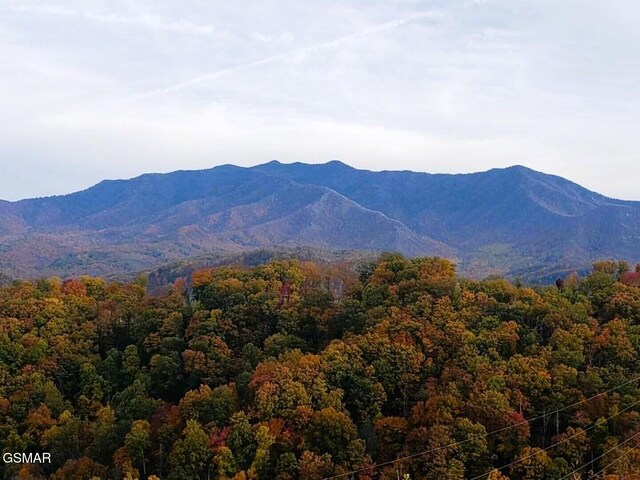 862 Sourwood Dr, Gatlinburg, TN 37738 - photo 3