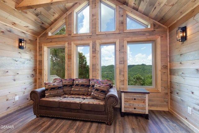 2741 Red Sky Dr, Sevierville, TN 37862 - living room with wood walls, wood ceiling, and wood finished floors