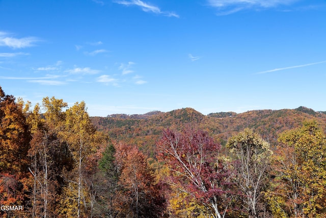 2741 Red Sky Dr, Sevierville, TN 37862 - view of mountain background featuring a heavily wooded area