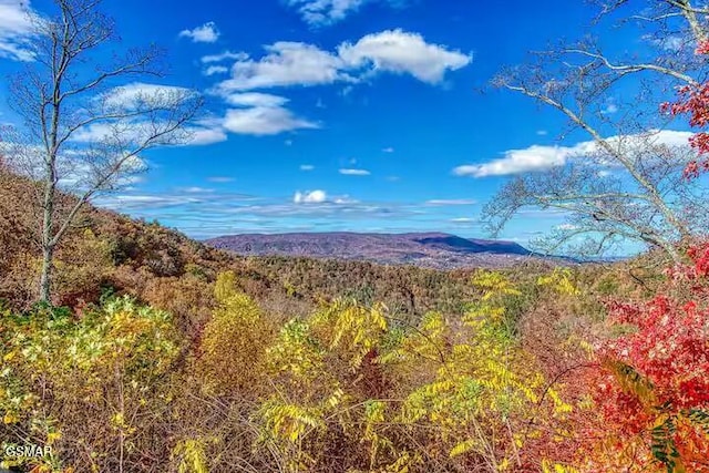 view of mountain feature