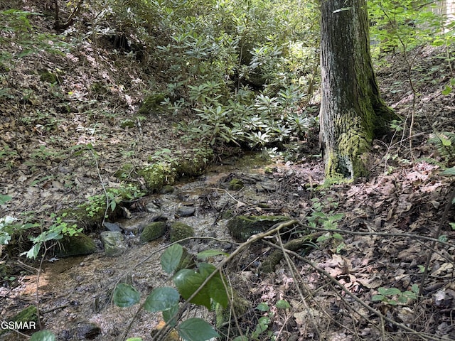 3824 Bear Camp Way, Sevierville, TN 37862 - photo 8