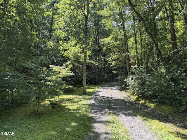 3824 Bear Camp Way, Sevierville, TN 37862 - photo 7