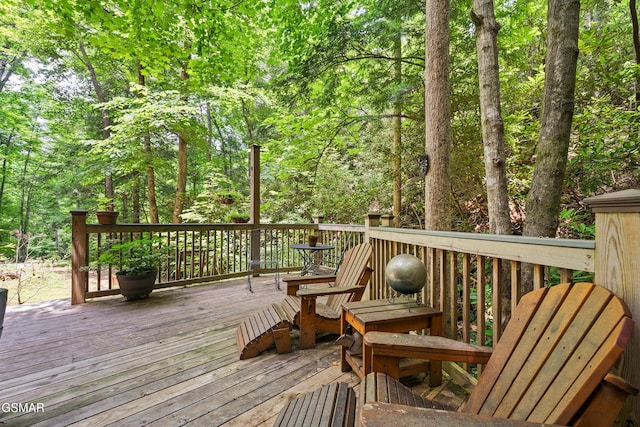 3824 Bear Camp Way, Sevierville, TN 37862 - photo 10