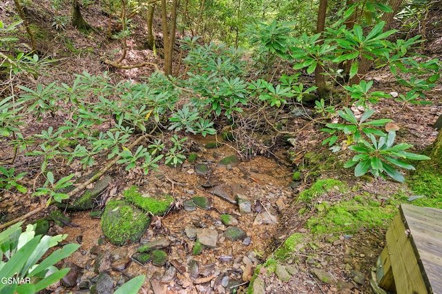 3824 Bear Camp Way, Sevierville, TN 37862 - photo 13