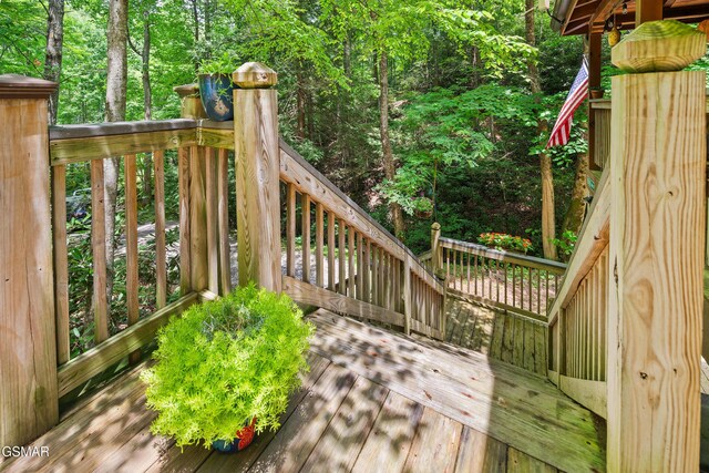 3824 Bear Camp Way, Sevierville, TN 37862 - photo 14