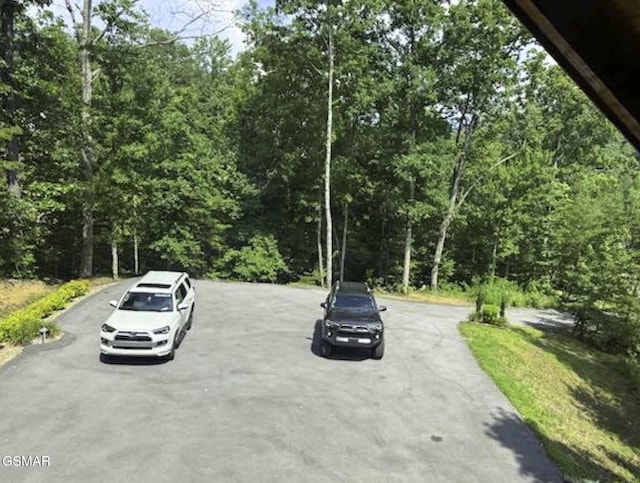 1554 Bear Valley Rd, Sevierville, TN 37876 - view of asphalt street featuring a forest view