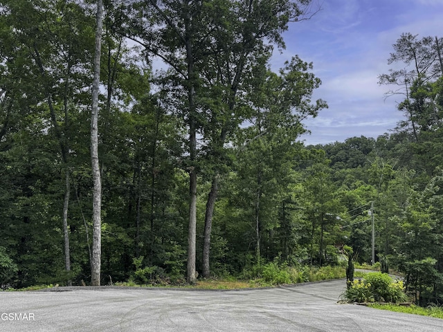 1554 Bear Valley Rd, Sevierville, TN 37876 - view of street with a wooded view