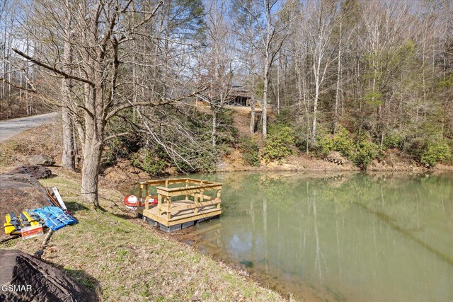 2210 Woodcock Trl, Sevierville, TN 37876 - photo 62