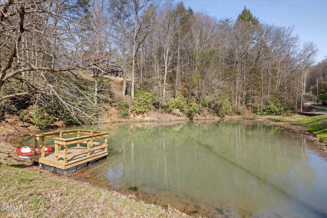 2210 Woodcock Trl, Sevierville, TN 37876 - photo 61