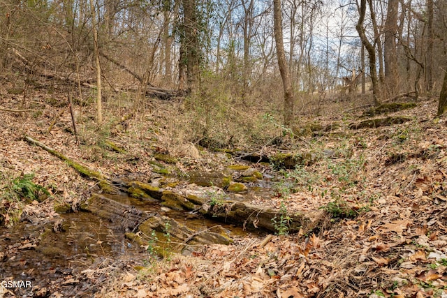 view of landscape