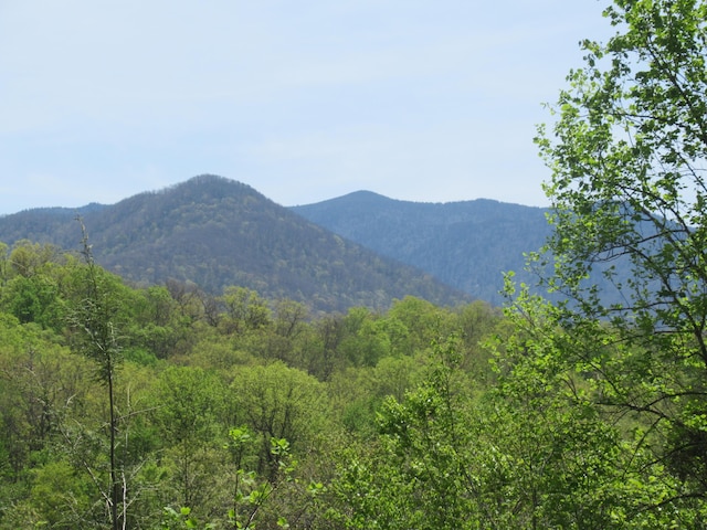 property view of mountains